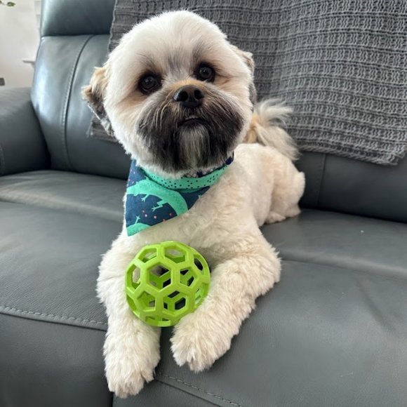 Meet your Posher, Katherine - Picture 5 of 15